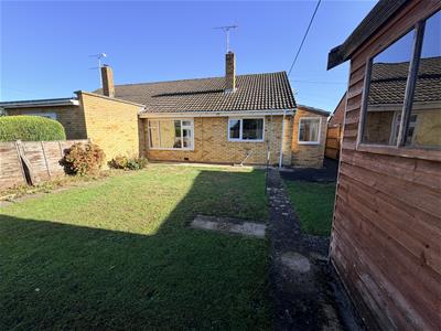 Picture 14